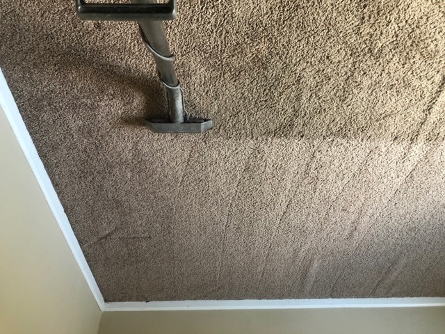 Carpet cleaning machine on tan carpet